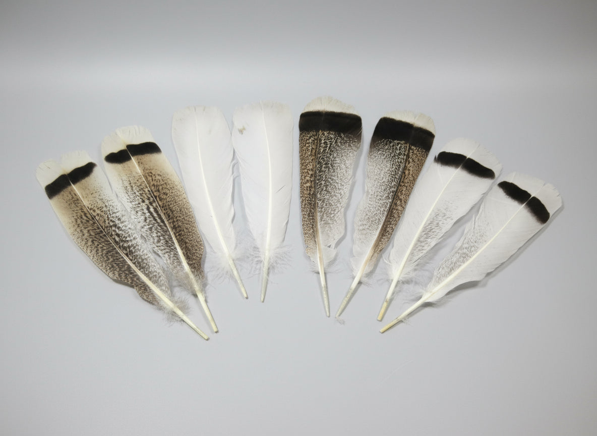 4 Pairs Of Turkey Feathers, Tail Feathers, Fly Tying Materials, Genuine Feathers (AMZ-311)