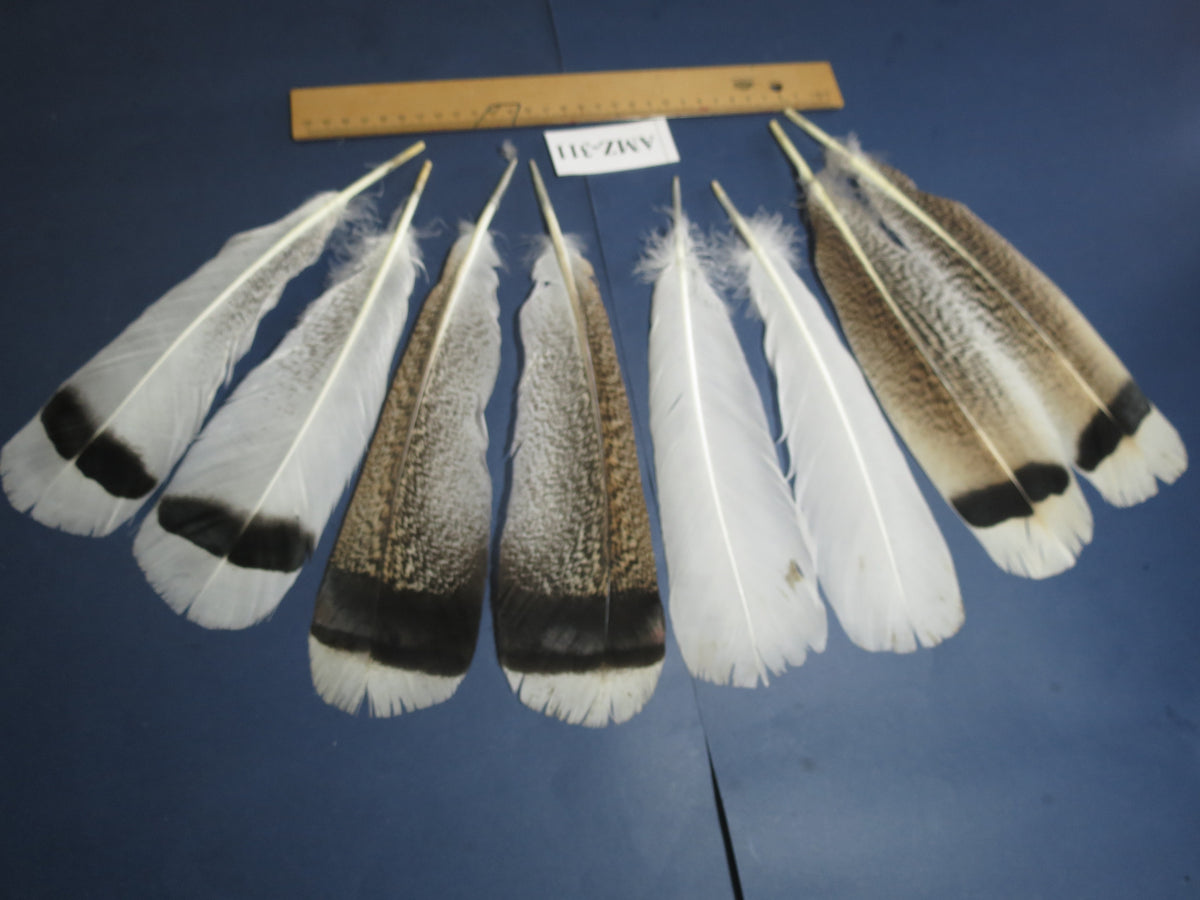 4 Pairs Of Turkey Feathers, Tail Feathers, Fly Tying Materials, Genuine Feathers (AMZ-311)