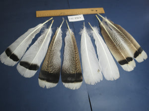4 Pairs Of Turkey Feathers, Tail Feathers, Fly Tying Materials, Genuine Feathers (AMZ-311)
