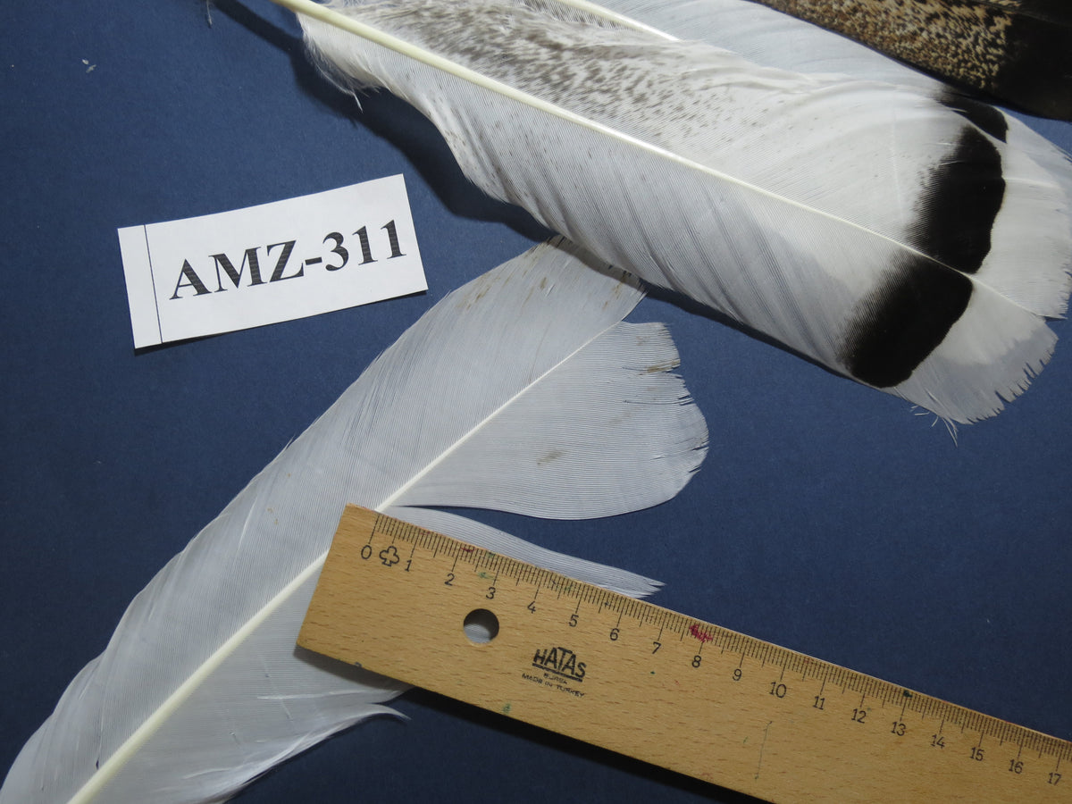 4 Pairs Of Turkey Feathers, Tail Feathers, Fly Tying Materials, Genuine Feathers (AMZ-311)