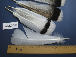 4 Pairs Of Turkey Feathers, Tail Feathers, Fly Tying Materials, Genuine Feathers (AMZ-311)