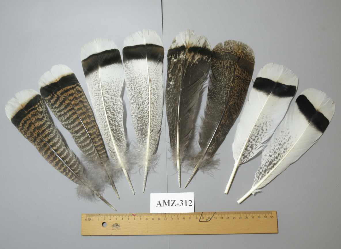 4 Pairs Of Turkey Feathers, Tail Feathers, Fly Tying Materials, Genuine Feathers (AMZ-312)