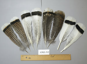 4 Pairs Of Turkey Feathers, Tail Feathers, Fly Tying Materials, Genuine Feathers (AMZ-312)