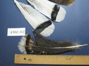 4 Pairs Of Turkey Feathers, Tail Feathers, Fly Tying Materials, Genuine Feathers (AMZ-312)