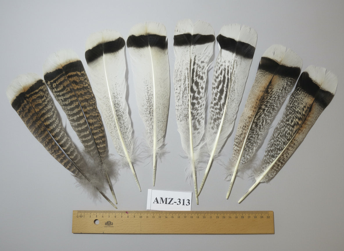 4 Pairs Of Turkey Feathers, Tail Feathers, Fly Tying Materials, Genuine Feathers (AMZ-313)
