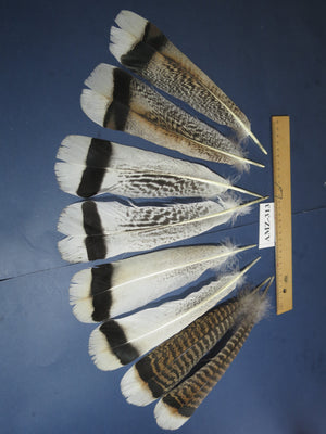 4 Pairs Of Turkey Feathers, Tail Feathers, Fly Tying Materials, Genuine Feathers (AMZ-313)