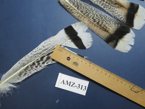 4 Pairs Of Turkey Feathers, Tail Feathers, Fly Tying Materials, Genuine Feathers (AMZ-313)