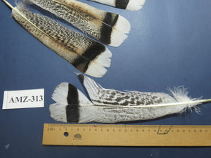 4 Pairs Of Turkey Feathers, Tail Feathers, Fly Tying Materials, Genuine Feathers (AMZ-313)