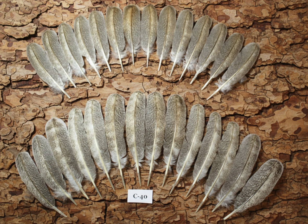 28 Pcs Real Turkey Wing Feathers, Fly Tying Materials,Long Feathers. (C-40)