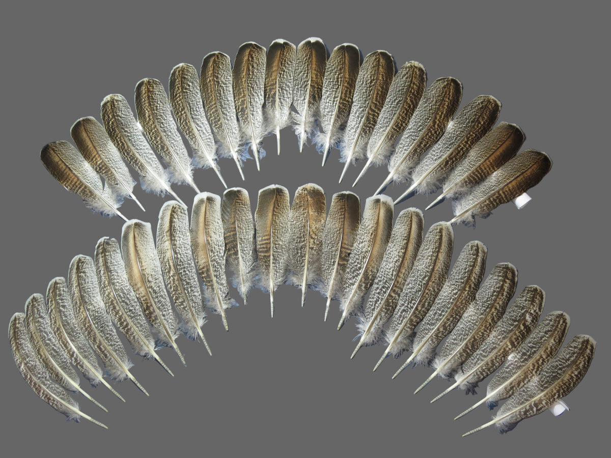 36 Pcs Real Turkey Wing Feathers, Fly Tying Materials,Long Feathers. (1836)