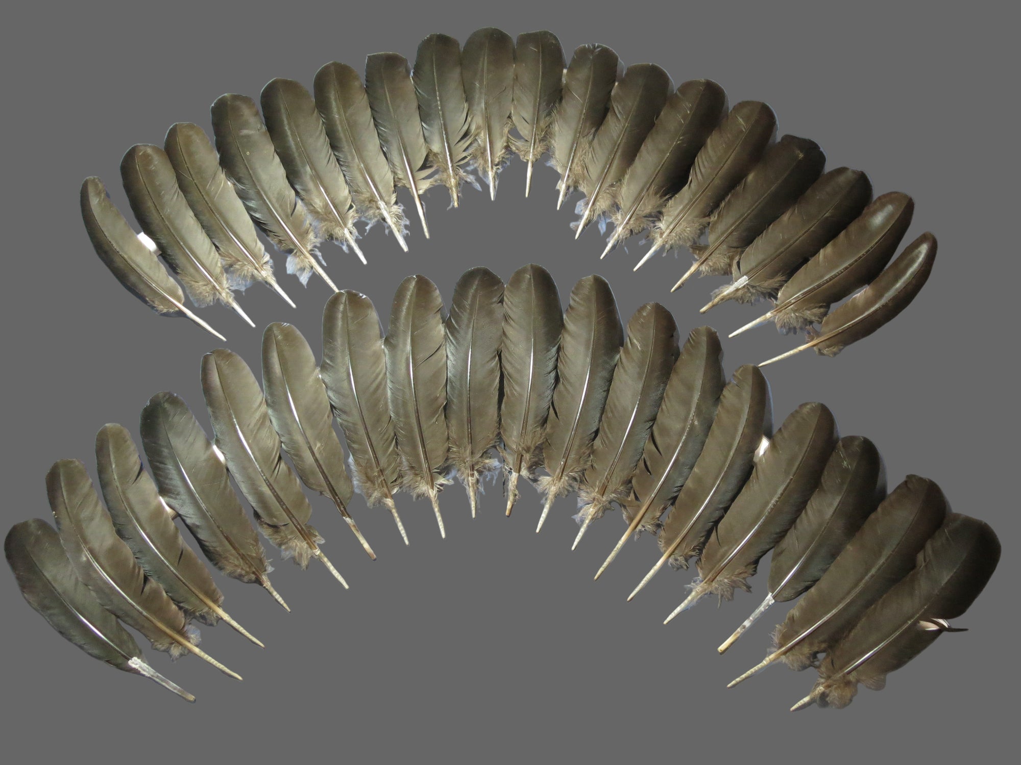 36 Pcs Black Turkey Wing Feathers, Fly Tying Materials,Long Feathers. (1837)