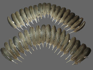 36 Pcs Black Turkey Wing Feathers, Fly Tying Materials,Long Feathers. (1837)