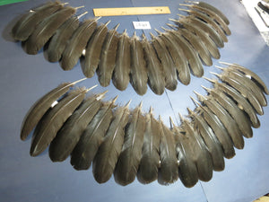 36 Pcs Black Turkey Wing Feathers, Fly Tying Materials,Long Feathers. (1837)