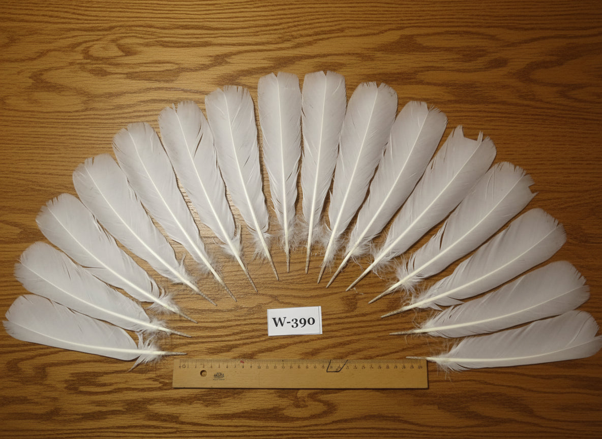 16 Pcs White Turkey Tail Feathers, Fly Tying Materials (Fiber 40-55mm) (W-390)