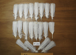 20 Pcs White Turkey Pre-Tail Feathers, Fly Tying Materials (W-393)