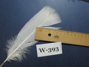 20 Pcs White Turkey Pre-Tail Feathers, Fly Tying Materials (W-393)