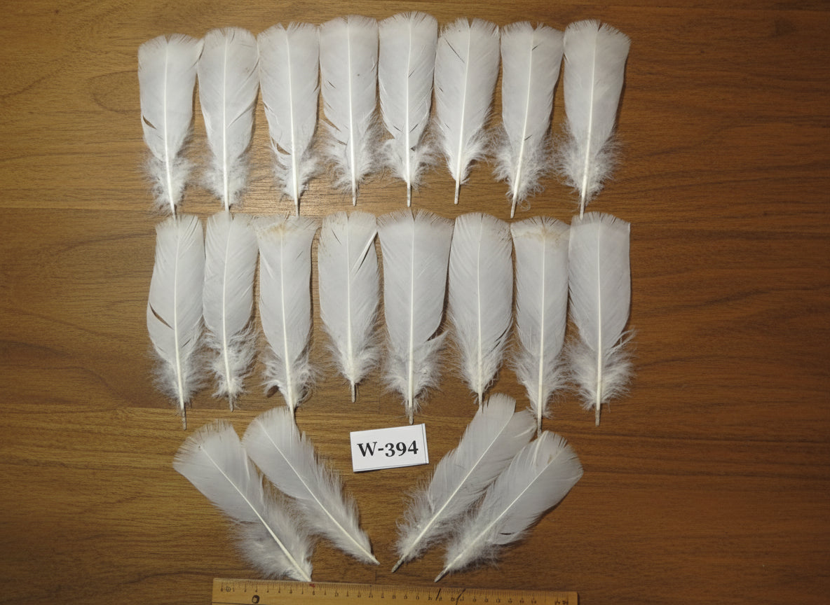 20 Pcs White Turkey Pre-Tail Feathers, Fly Tying Materials (W-394)