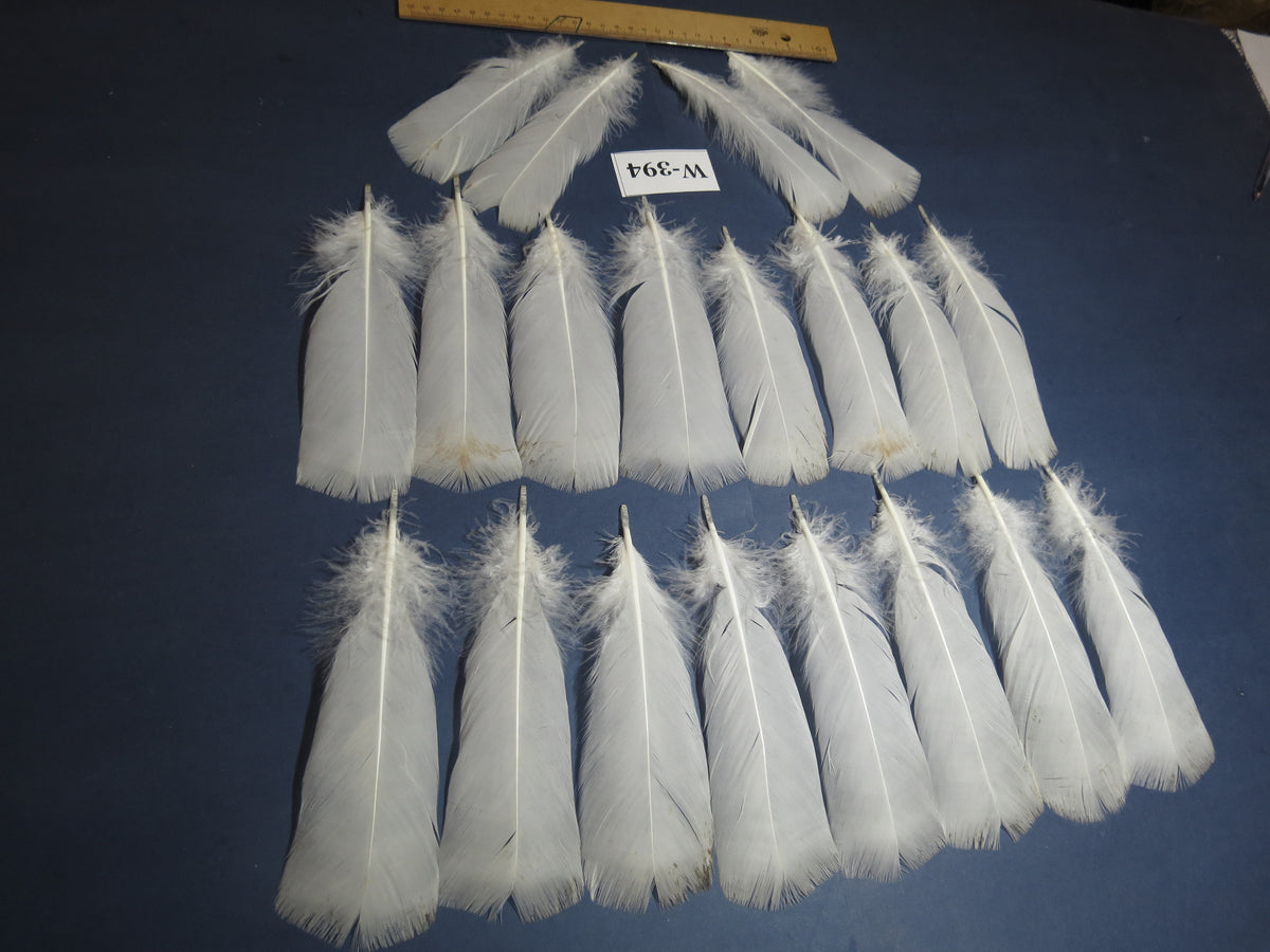 20 Pcs White Turkey Pre-Tail Feathers,Turkey Feathers,Fly Tying Material,Craft Feathers,Natural Feathers (W-394)
