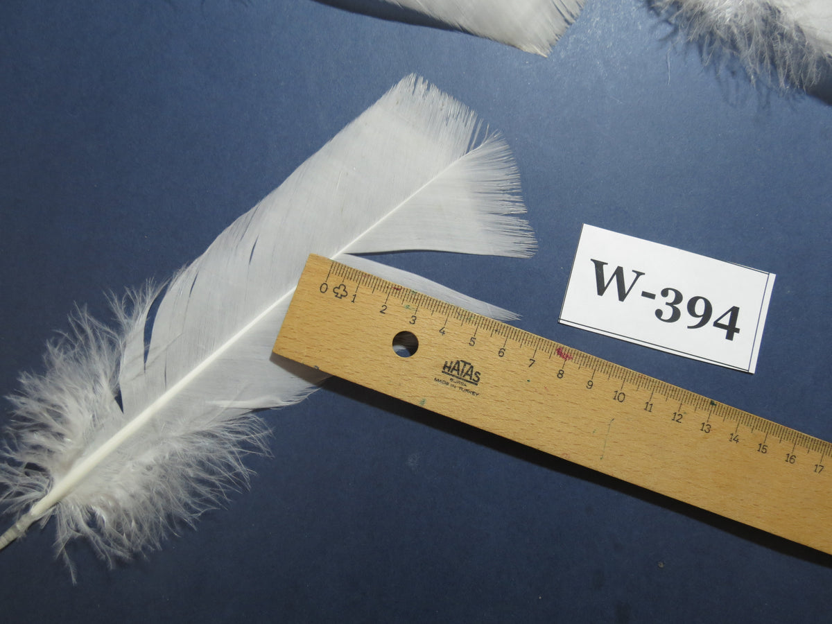 20 Pcs White Turkey Pre-Tail Feathers,Turkey Feathers,Fly Tying Material,Craft Feathers,Natural Feathers (W-394)