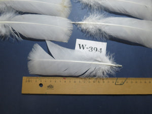 20 Pcs White Turkey Pre-Tail Feathers,Turkey Feathers,Fly Tying Material,Craft Feathers,Natural Feathers (W-394)