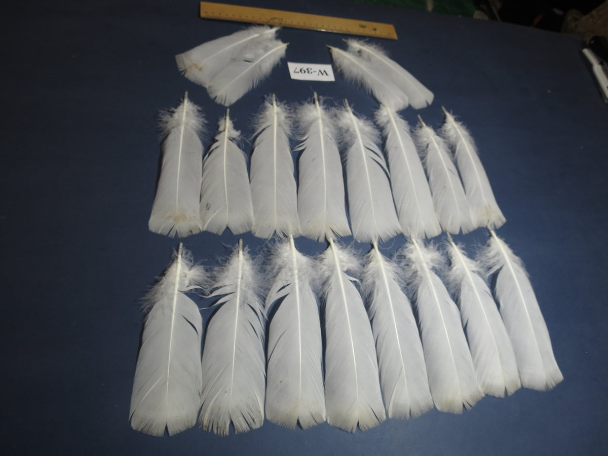 20 Pcs White Turkey Pre-Tail Feathers,Turkey Feathers,Fly Tying Material,Craft Feathers,Natural Feathers(W-397)