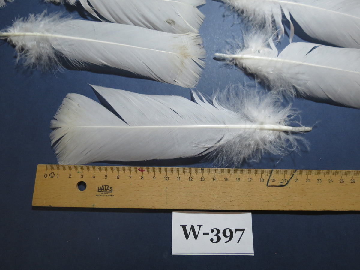 20 Pcs White Turkey Pre-Tail Feathers,Turkey Feathers,Fly Tying Material,Craft Feathers,Natural Feathers(W-397)