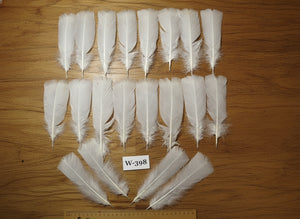 20 Pcs White Turkey Pre-Tail Feathers, Fly Tying Materials (W-398)