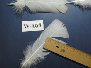 20 Pcs White Turkey Pre-Tail Feathers, Fly Tying Materials (W-398)