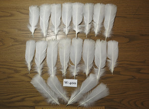 20 Pcs White Turkey Pre-Tail Feathers, Fly Tying Materials (W-400)