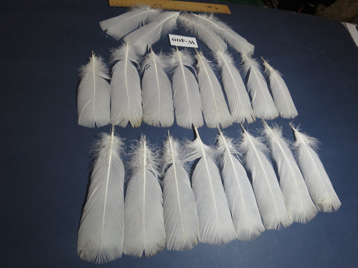 20 Pcs White Turkey Pre-Tail Feathers, Fly Tying Materials (W-400)