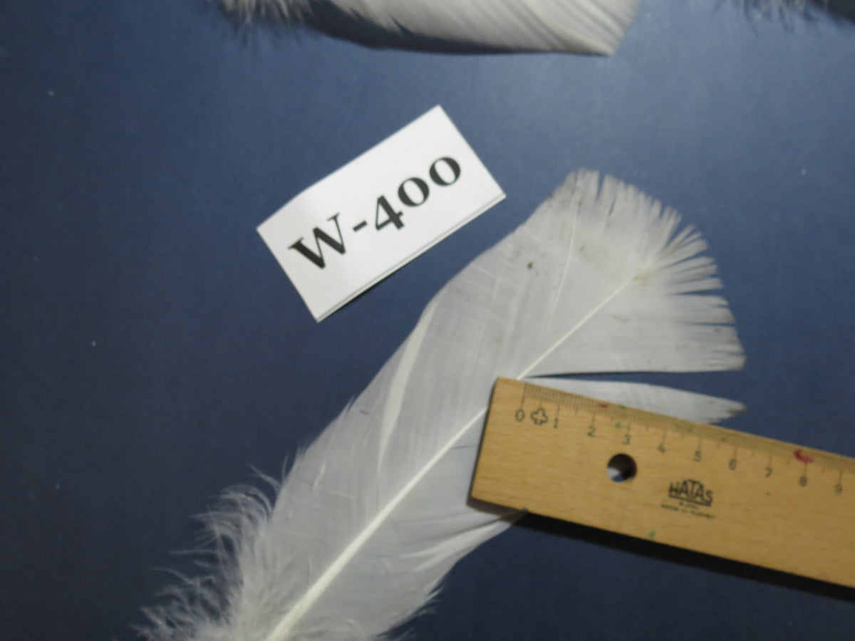 20 Pcs White Turkey Pre-Tail Feathers, Fly Tying Materials (W-400)