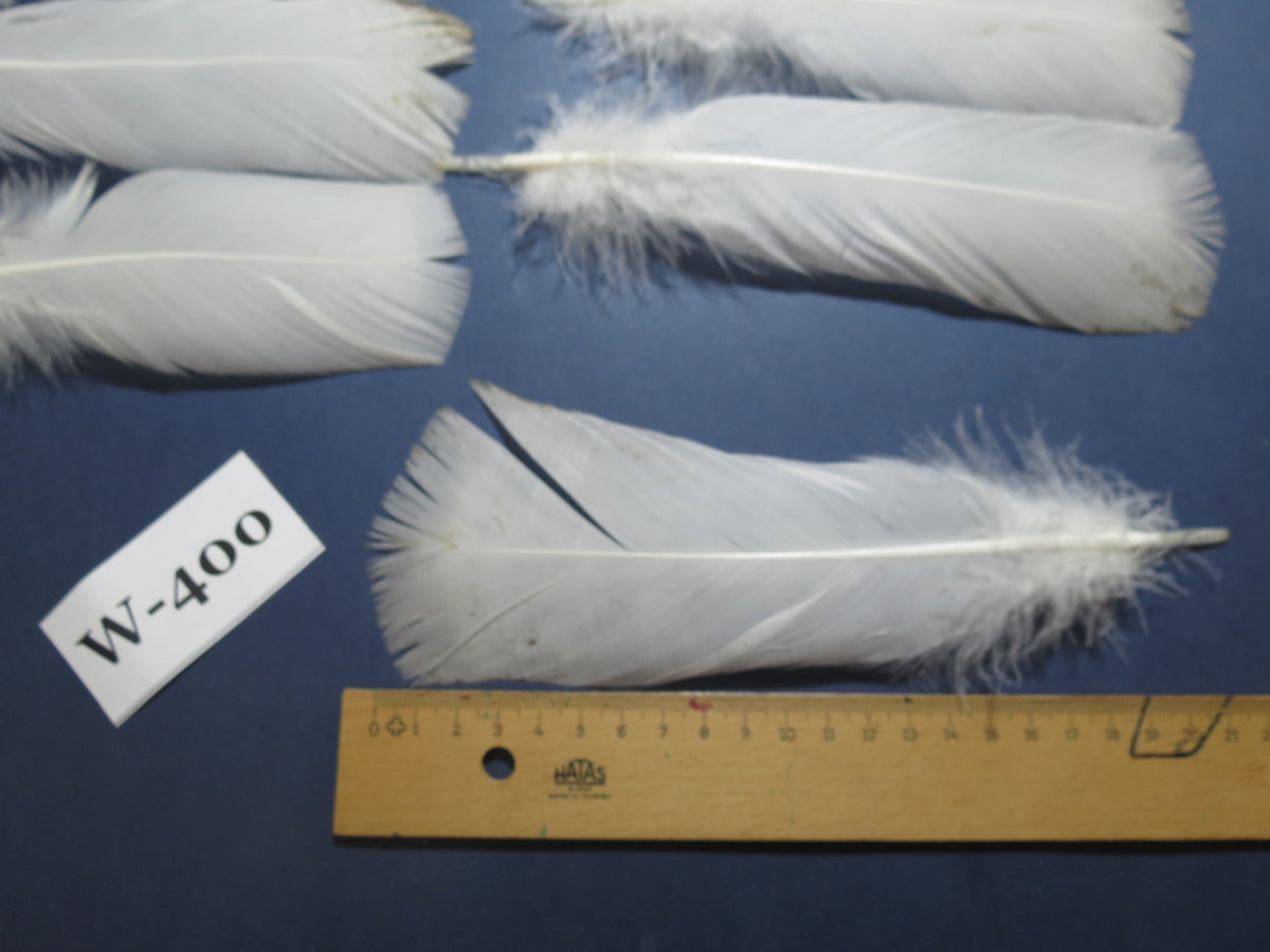 20 Pcs White Turkey Pre-Tail Feathers, Fly Tying Materials (W-400)