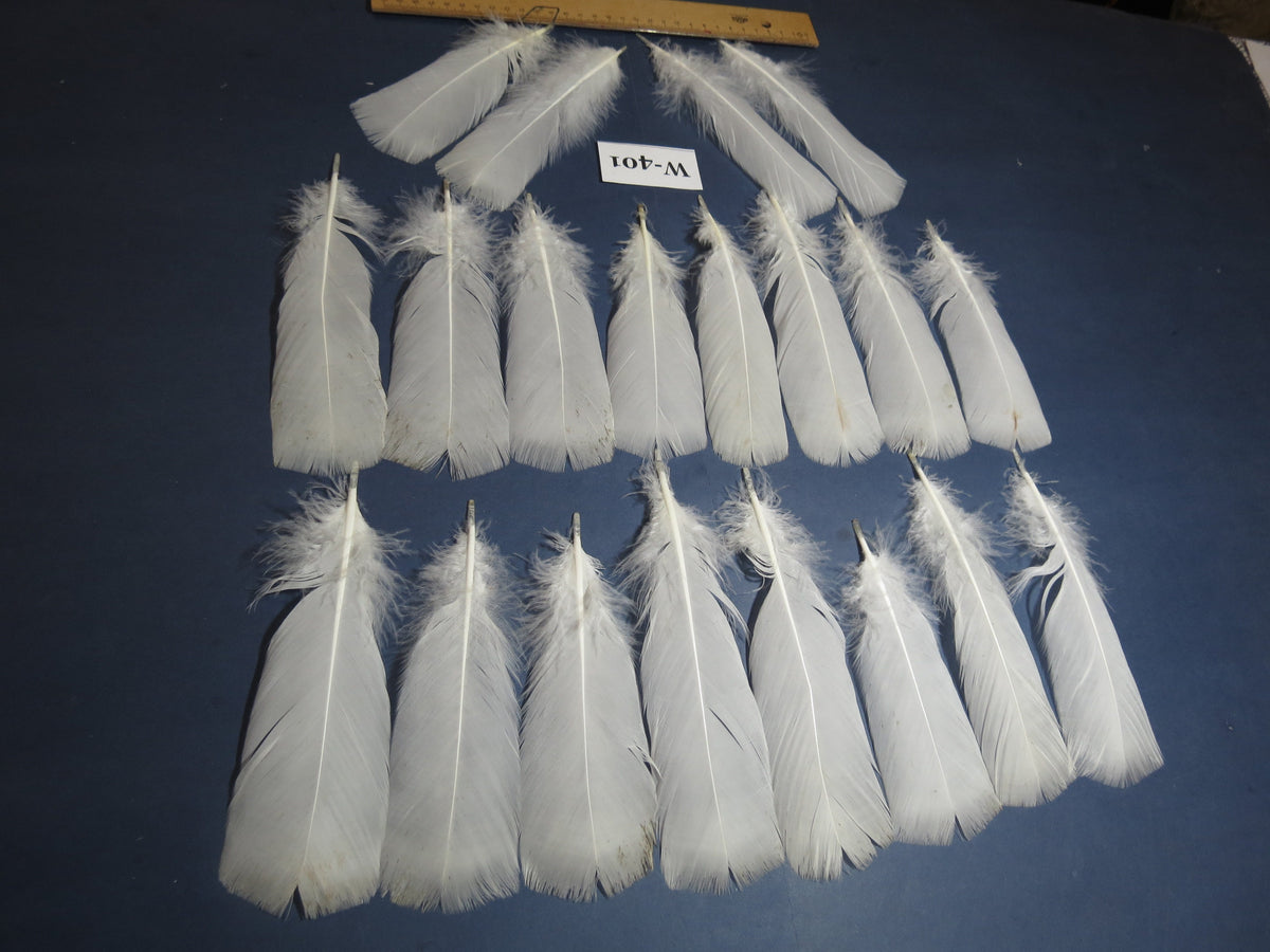 20 Pcs White Turkey Pre-Tail Feathers, Fly Tying Materials (W-401)