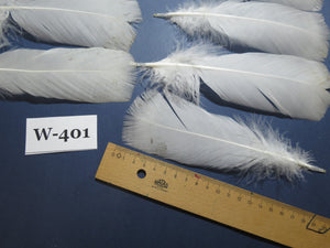 20 Pcs White Turkey Pre-Tail Feathers, Fly Tying Materials (W-401)