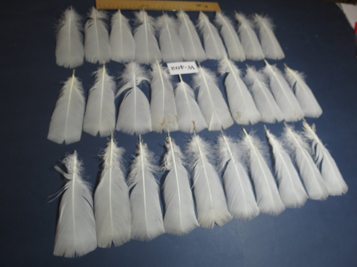 30 Pcs White Turkey Pre-Tail Feathers, Turkey Feathers,Fly Tying Material,Craft Feathers,Natural Feathers (W-402)