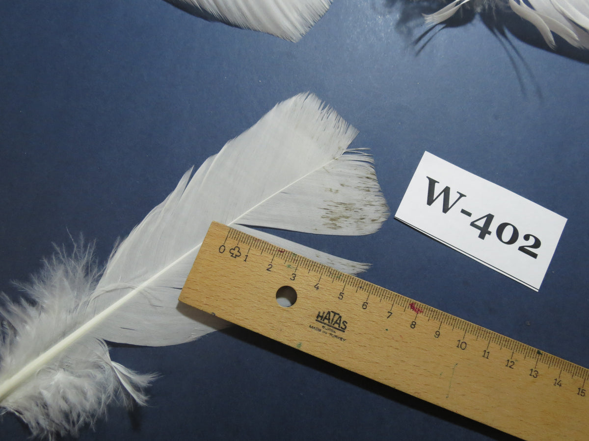 30 Pcs White Turkey Pre-Tail Feathers, Turkey Feathers,Fly Tying Material,Craft Feathers,Natural Feathers (W-402)