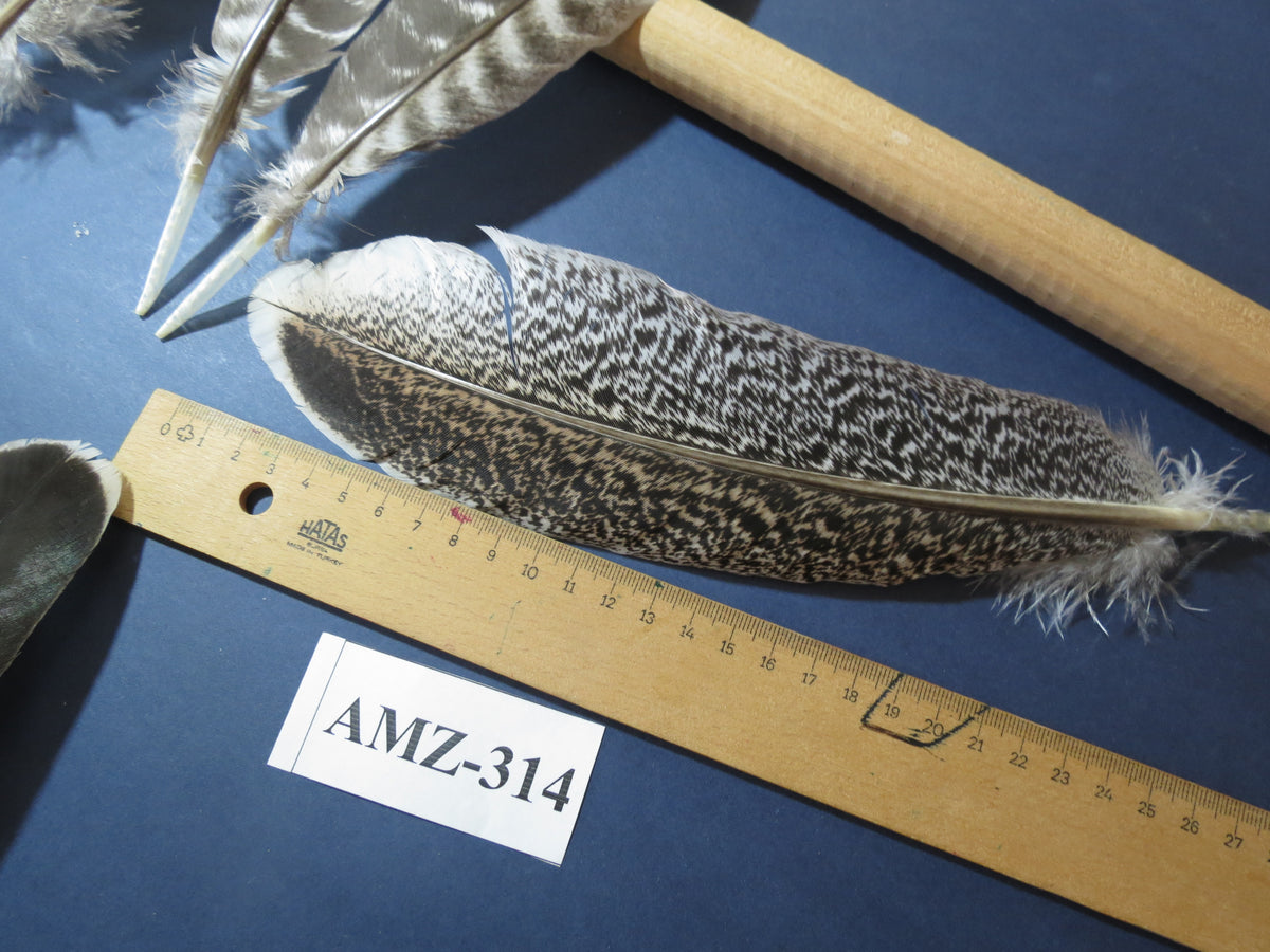 10 Pairs Turkey Wing Feathers, Amazing Feathers, Fly Tying Materials,(AMZ-314)