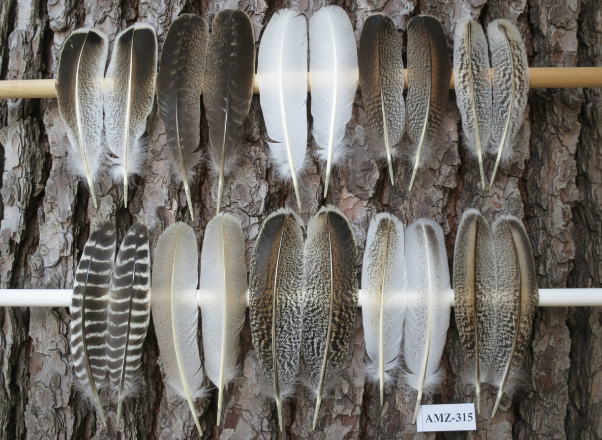 10 Pairs Turkey Wing Feathers, Amazing Feathers, Fly Tying Materials,(AMZ-315)