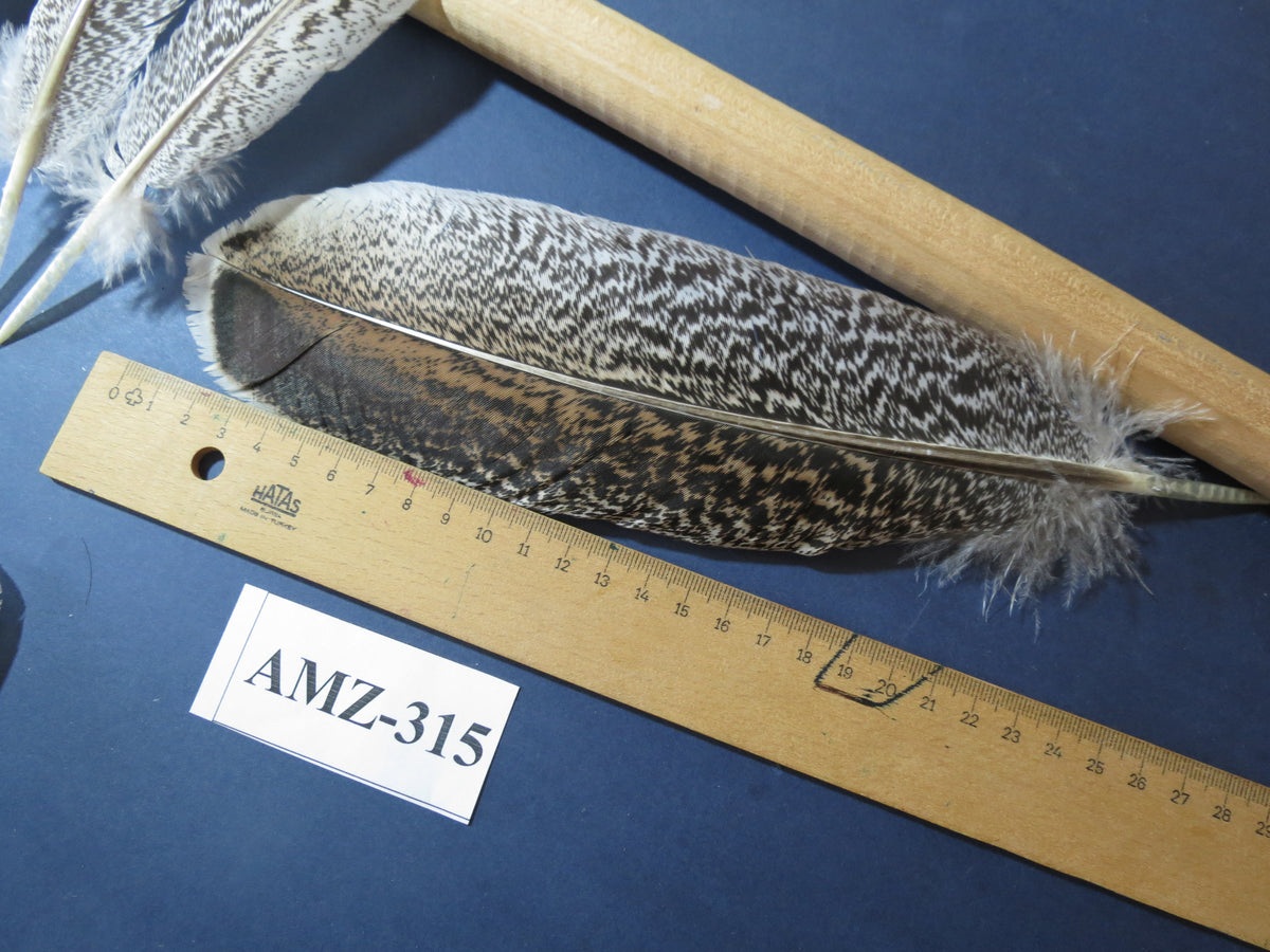 10 Pairs Turkey Wing Feathers, Amazing Feathers, Fly Tying Materials,(AMZ-315)