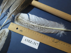 10 Pairs Turkey Wing Feathers, Amazing Feathers, Fly Tying Materials,(AMZ-317)