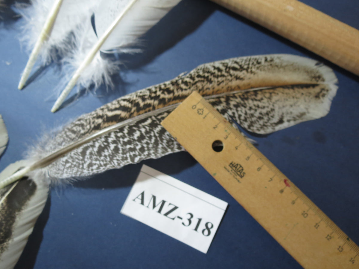 10 Pairs Turkey Wing Feathers, Amazing Feathers, Fly Tying Materials,(AMZ-318)