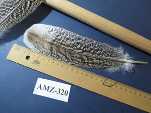 10 Pairs Turkey Wing Feathers, Amazing Feathers, Fly Tying Materials,(AMZ-320)