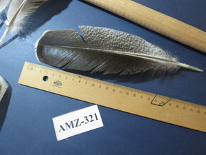 10 Pairs Turkey Wing Feathers, Amazing Feathers, Fly Tying Materials,(AMZ-321)