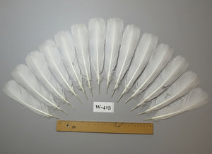14 Pcs White Turkey Tail Feathers, Fly Tying Materials (Fiber 40-55mm) (W-413)