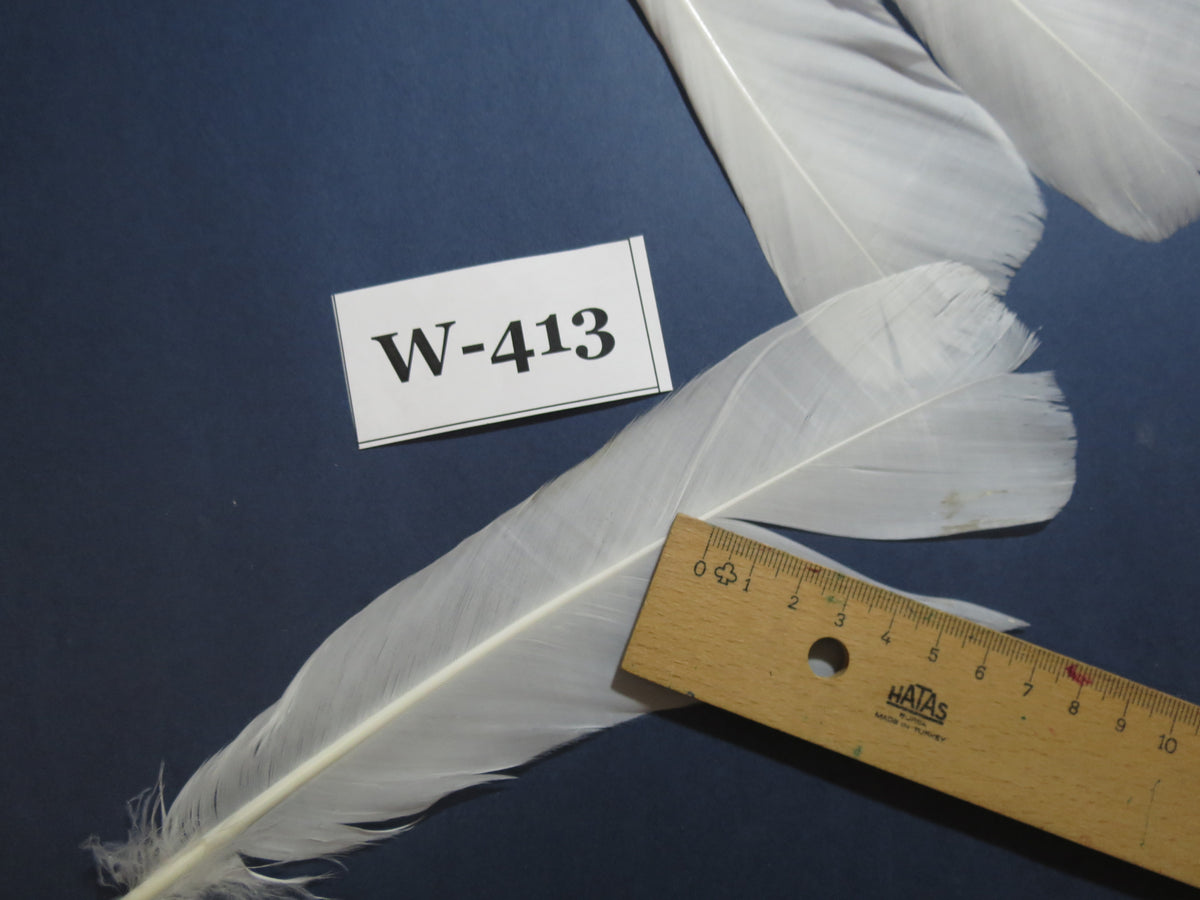 14 Pcs White Turkey Tail Feathers, Fly Tying Materials (Fiber 40-55mm) (W-413)