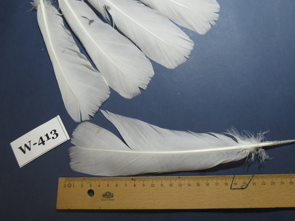 14 Pcs White Turkey Tail Feathers, Fly Tying Materials (Fiber 40-55mm) (W-413)