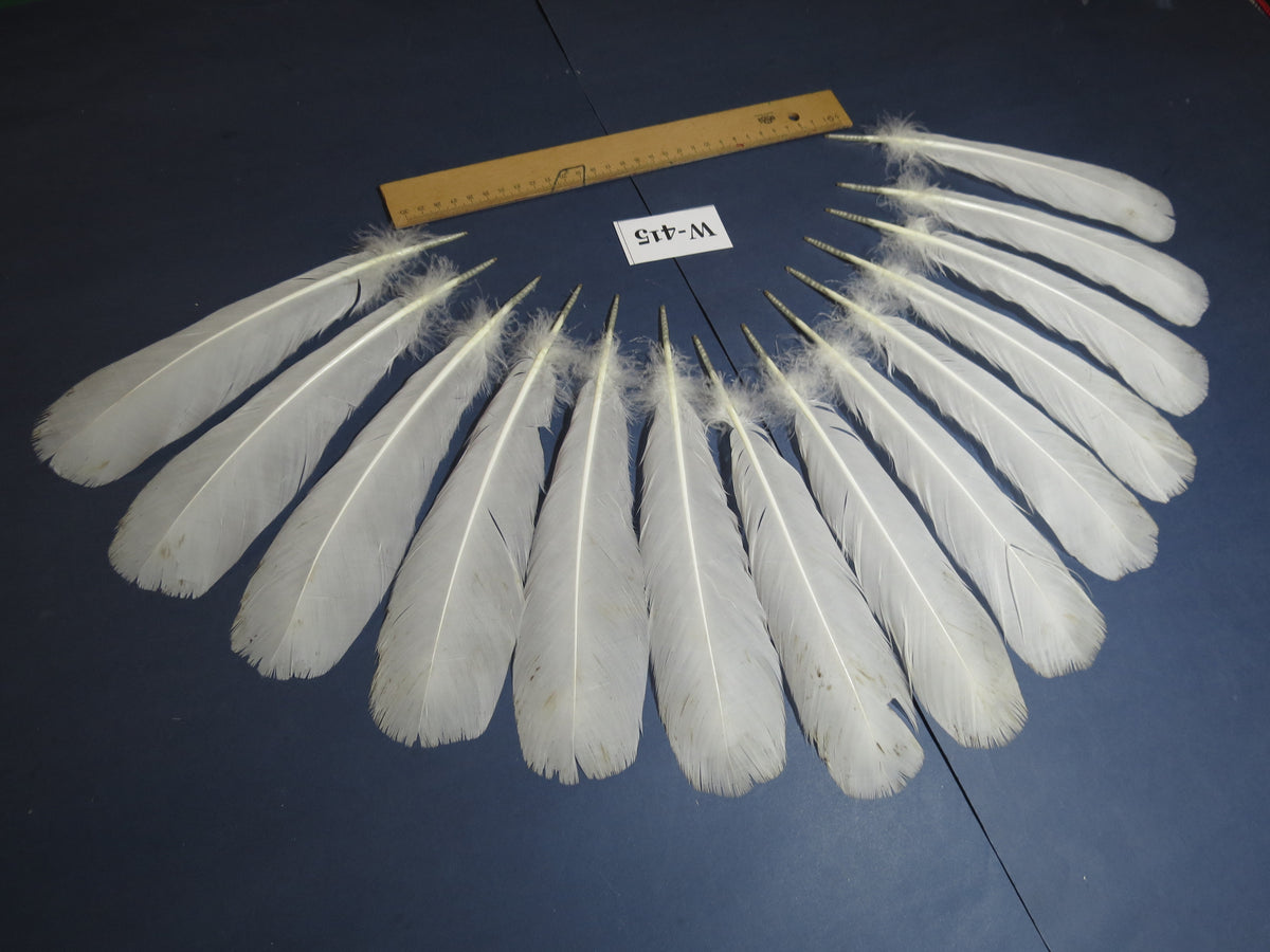 14 Pcs White Turkey Tail Feathers, Fly Tying Materials (Fiber 40-55mm) (W-415)