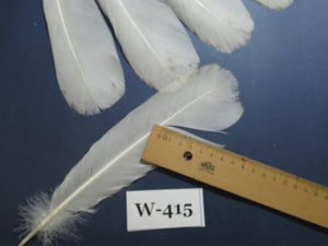 14 Pcs White Turkey Tail Feathers, Fly Tying Materials (Fiber 40-55mm) (W-415)