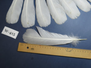 14 Pcs White Turkey Tail Feathers, Fly Tying Materials (Fiber 40-55mm) (W-415)