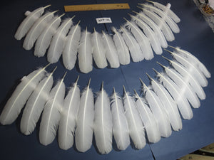 32 Pcs White Turkey Wing Feathers,Turkey Feathers,Fly Tying Material,Craft Feathers,Natural Feathers (W-418)